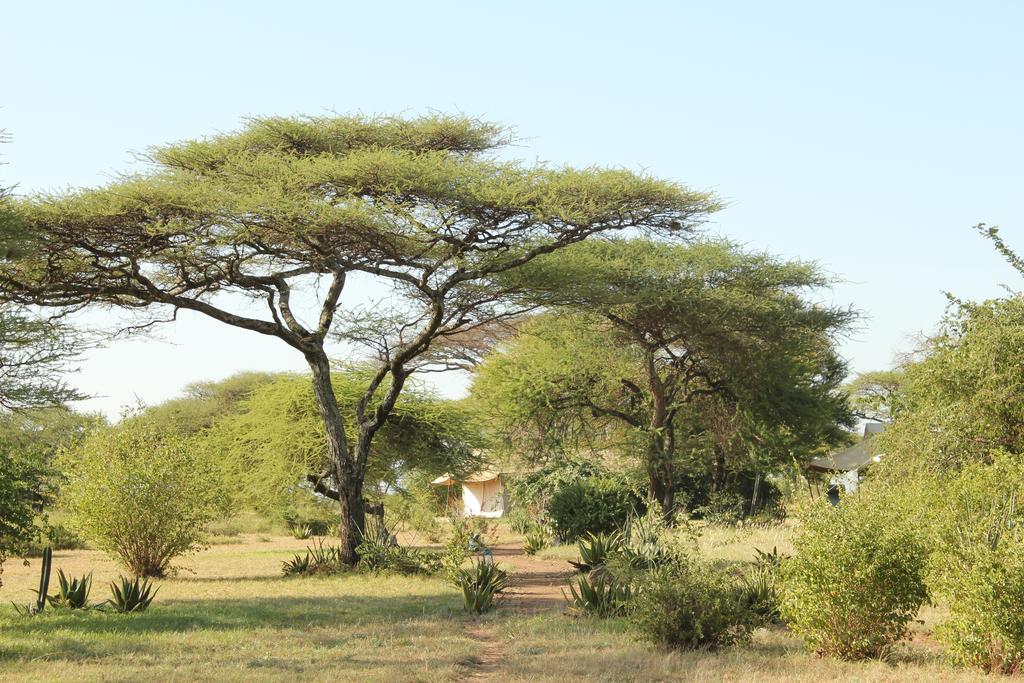 Mapito Tented Camp Serengeti Zewnętrze zdjęcie