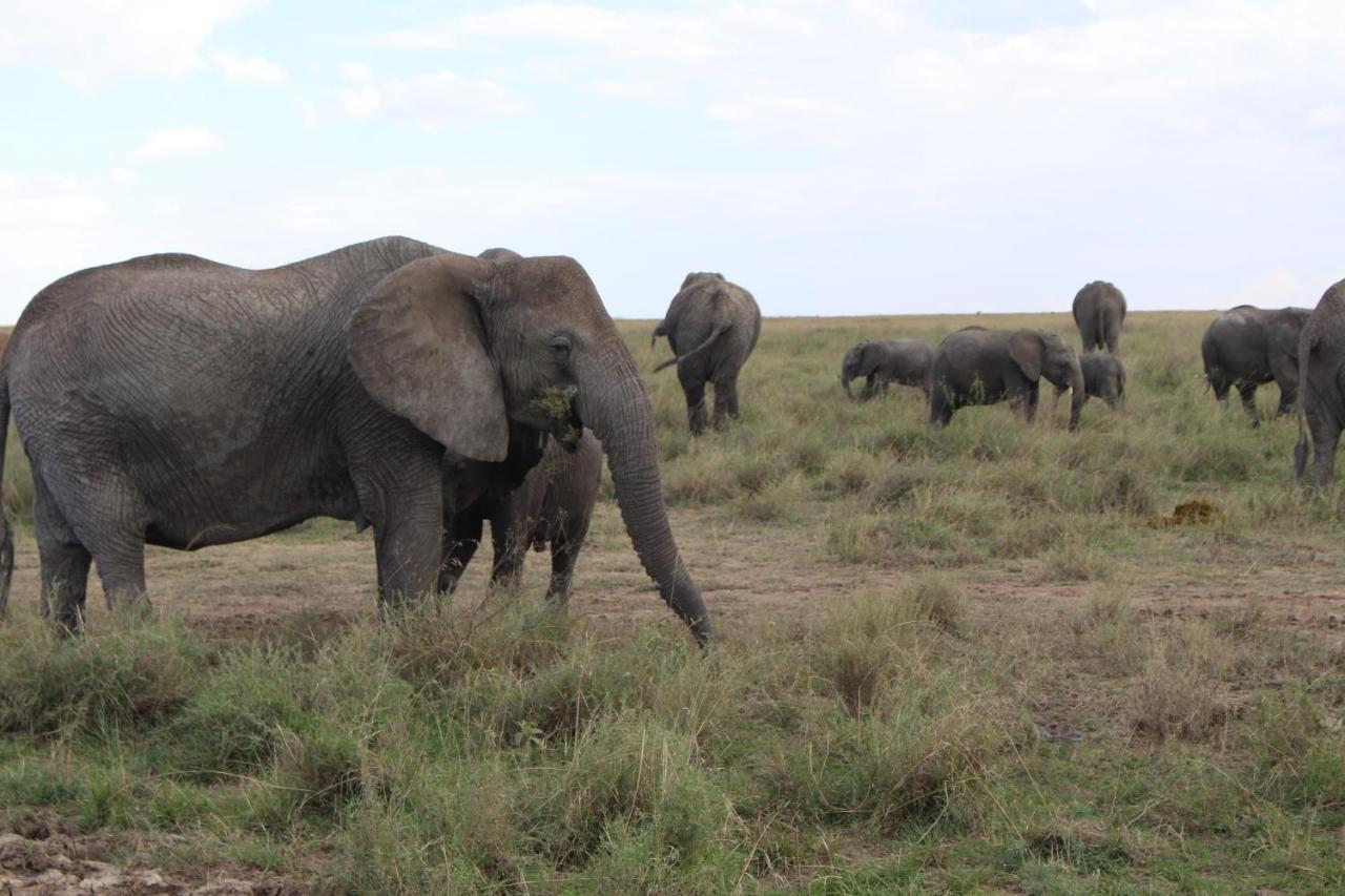 Mapito Tented Camp Serengeti Zewnętrze zdjęcie